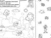 aire respiramos: grado