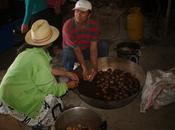 Turismo Comunitario comienza tomar peso economías rurales