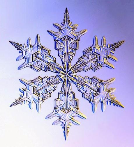 Snow, Snow flakes, Snow flowers... Snow days