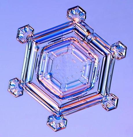 Snow, Snow flakes, Snow flowers... Snow days