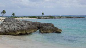 Vanesa y Alfredo , Amor a la mexicana!