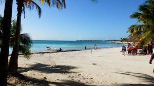 Vanesa y Alfredo , Amor a la mexicana!