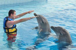 Vanesa y Alfredo , Amor a la mexicana!