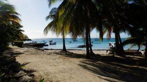 Vanesa y Alfredo , Amor a la mexicana!