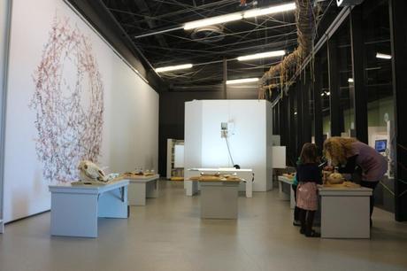 Visita con niños al Museu Blau Museu_Blau_Niños