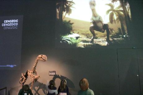 Visita con niños al Museu Blau Museu_Blau_Niños