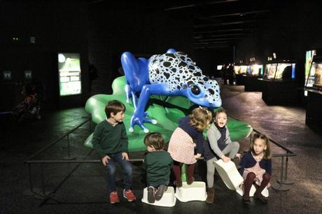 Visita con niños al Museu Blau Museu_Blau_Niños