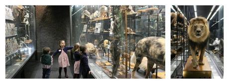 Visita con niños al Museu Blau Museu_Blau_Niños