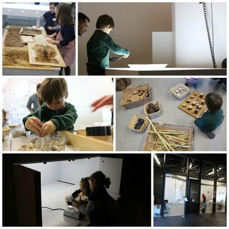 Visita con niños al Museu Blau descarga