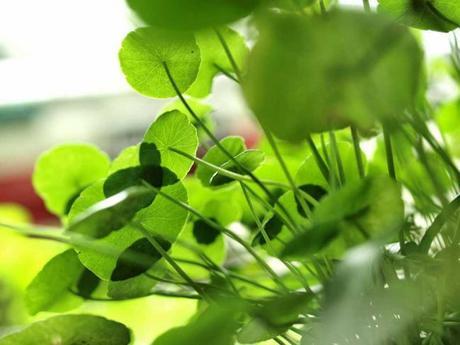 Mi plan B de cara al verano...