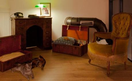 ROMEOW CAT BISTROT: UN BISTROT LLENO DE GATOS EN ROMA