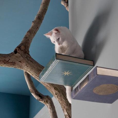 ROMEOW CAT BISTROT: UN BISTROT LLENO DE GATOS EN ROMA