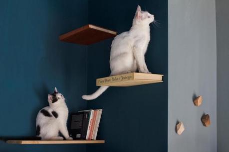 ROMEOW CAT BISTROT: UN BISTROT LLENO DE GATOS EN ROMA