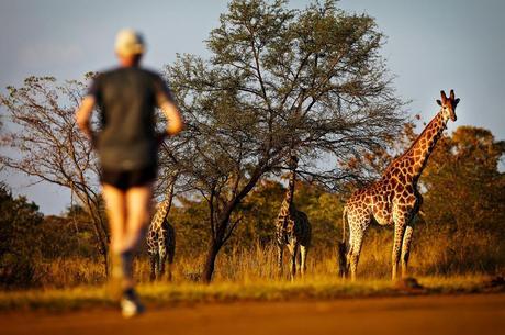 Los maratones más curiosos del mundo