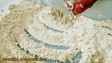 ROLLITO DE POLLO CON SALSA MOZÁRABE