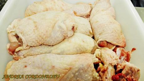 ROLLITO DE POLLO CON SALSA MOZÁRABE