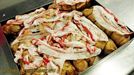 ROLLITO DE POLLO CON SALSA MOZÁRABE