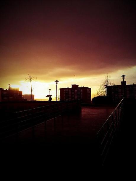 Androidografia Barakaldo 1352