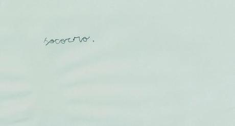 135249_10200830545704393_519861887_o