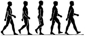 plantillas coimbra cmainar