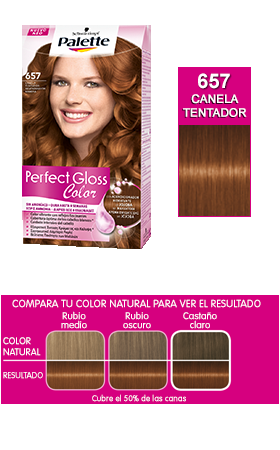 Palette Perfect Gloss Color