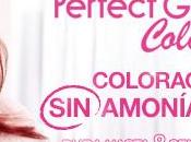 Palette Perfect Gloss Color