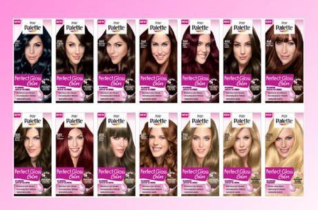 Palette Perfect Gloss Color