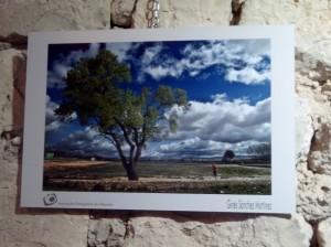 exposicion alcala del jucar