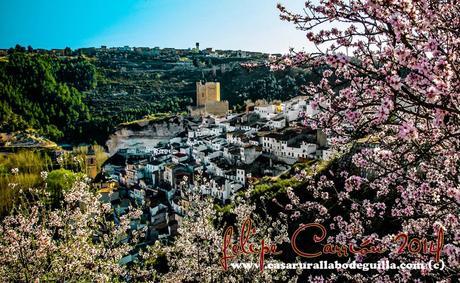 Las primeras flores de Alcalá del Júcar Alcala del Júcar
