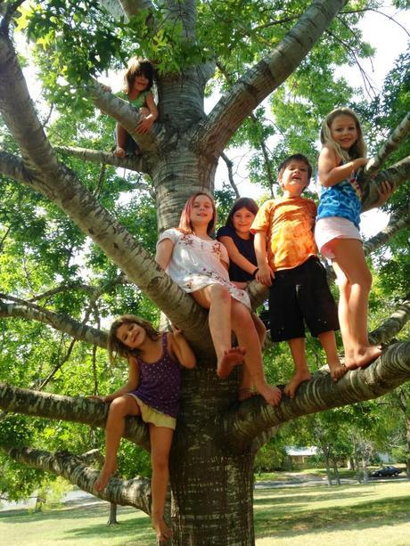 Una educación en democracia y de libertad, sin concesiones