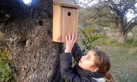 ¡Comenzamos la temporada de cajas-nido!