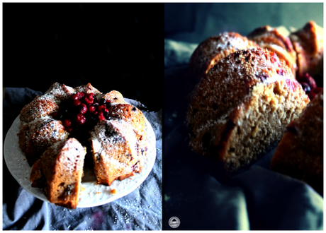 cranberry coconut orange bundt cake 007