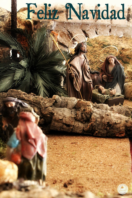 Feliz Navidad !!
