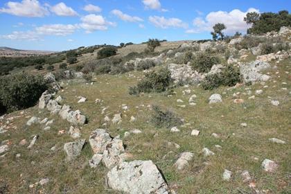 Yacimiento carpetano del Cerro del Gollino