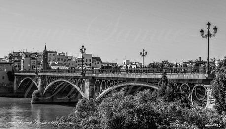SEVILLA: ZONA del ARENAL y TRIANA