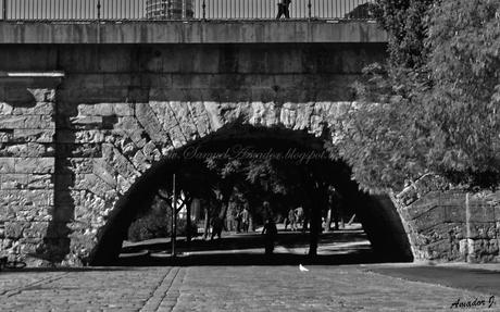 SEVILLA: ZONA del ARENAL y TRIANA