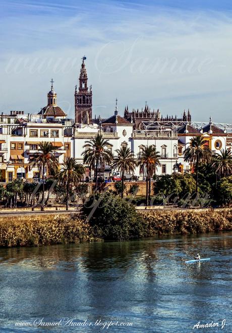 SEVILLA: ZONA del ARENAL y TRIANA