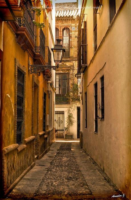 SEVILLA: ZONA del ARENAL y TRIANA