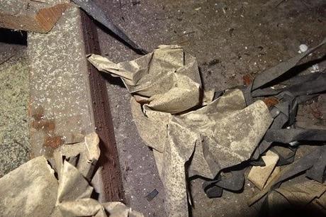 Los últimos secretos de Alan Turing