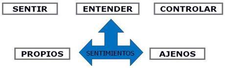 Aprende a cultivar la Inteligencia Emocional inteligencia-emocional-como-herramienta-de-direccion