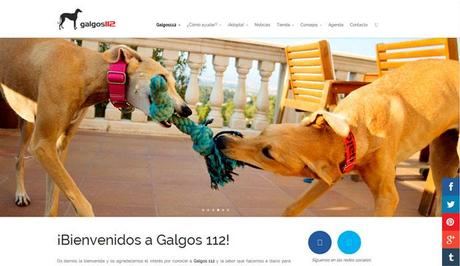 web galgos 112