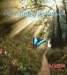 Las mariposas de Madison