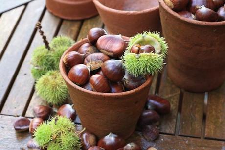 La recolección de alimentos frescos