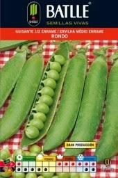 Cómo cultivar guisantes