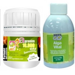 Seguimos con los hongos: la negrilla