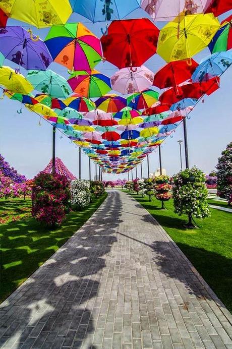 Miracle Garden (Dubai)