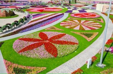 Miracle Garden (Dubai)