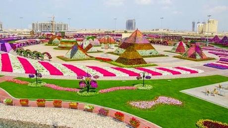 Miracle Garden (Dubai)