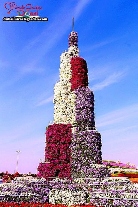 Miracle Garden (Dubai)