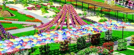 Miracle Garden (Dubai)